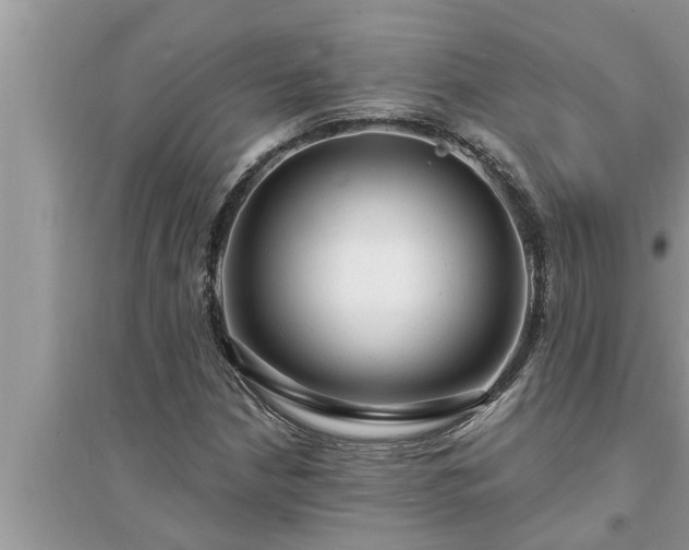 X0000095531210200712211317