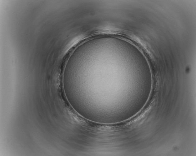 X0000095531211200712211317