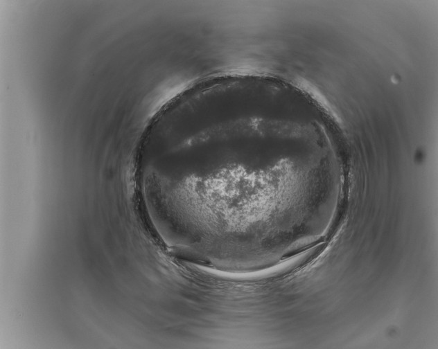 X0000095531213200712211317