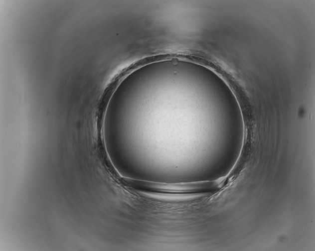 X0000095531214200712211317