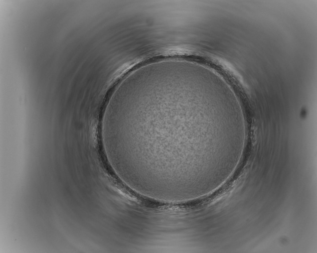 X0000095531217200712211317