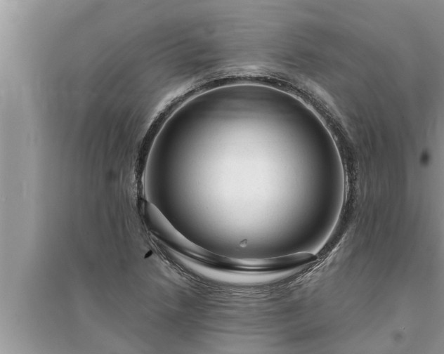 X0000095531218200712211317