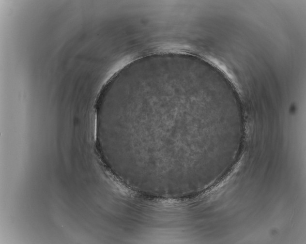 X0000095531219200712211317