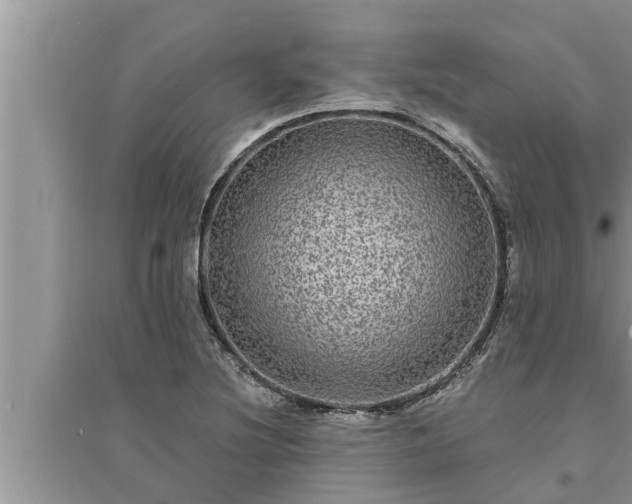 X0000095531220200712211317