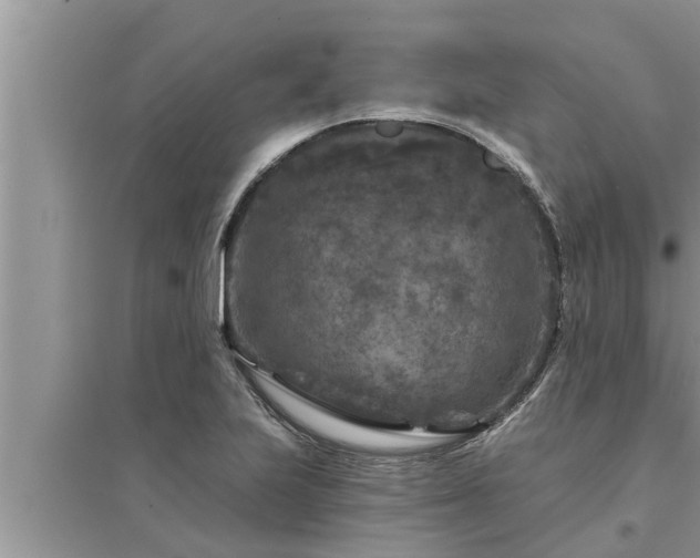 X0000095531223200712211318