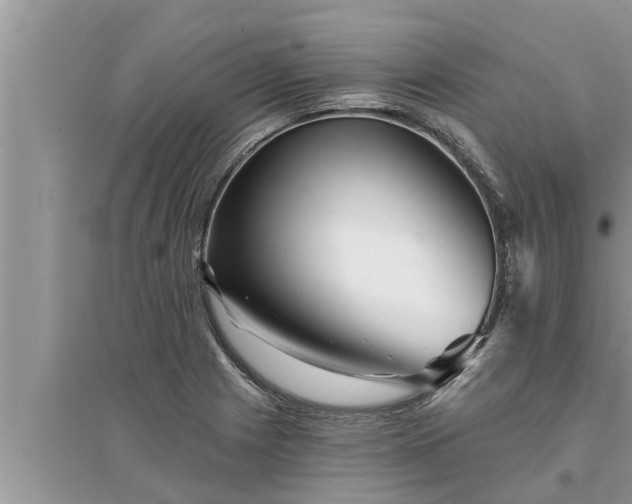 X0000095531225200712211318