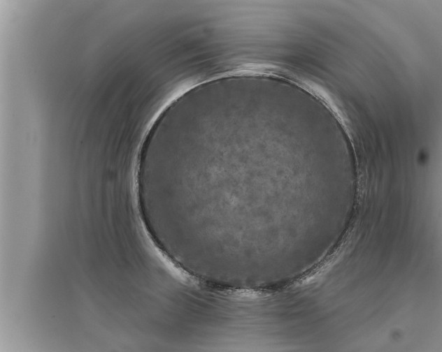 X0000095531235200712211318