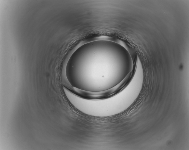 X0000095531249200712211317