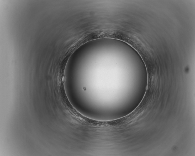 X0000095531250200712211317