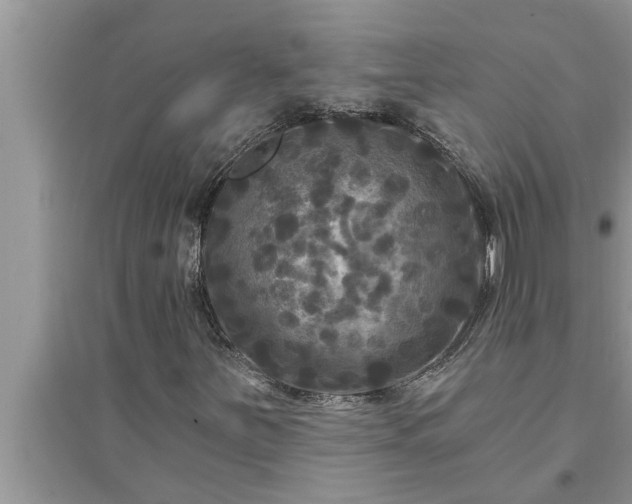 X0000095531251200712211317