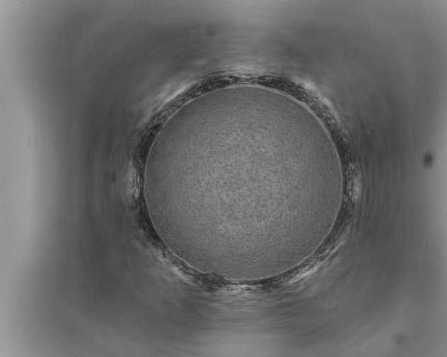 X0000095531253200712211317