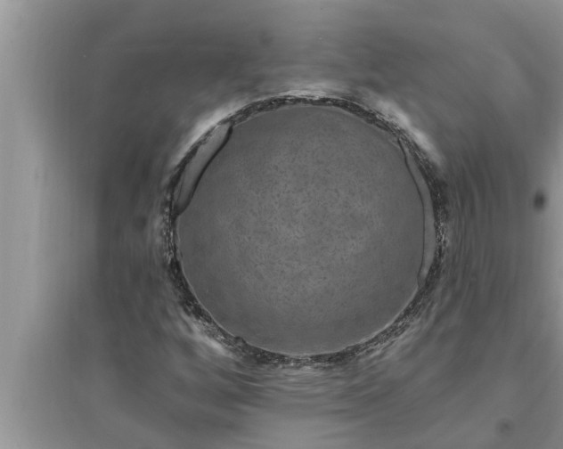 X0000095531256200712211317