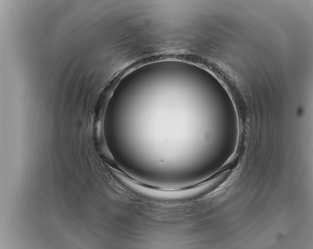 X0000095531257200712211317