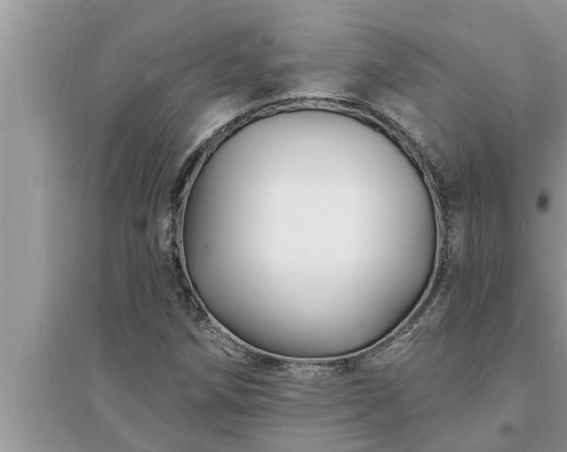 X0000095531258200712211317