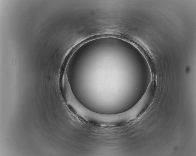 X0000095531260200712211317