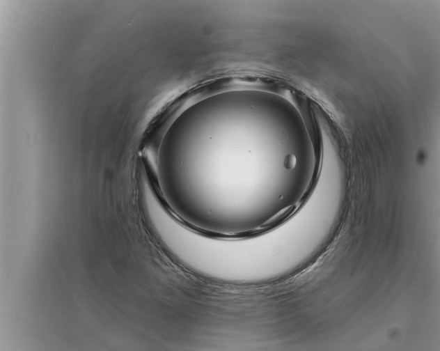 X0000095531261200712211317
