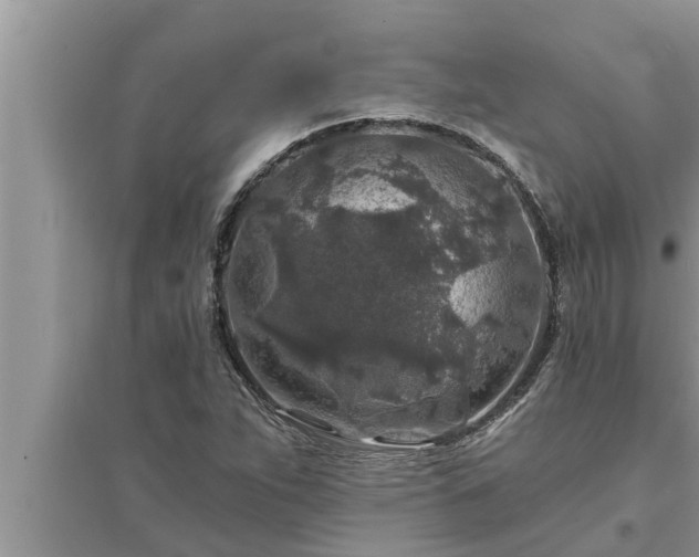 X0000095531263200712211317