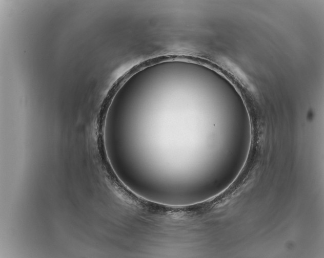 X0000095531264200712211317