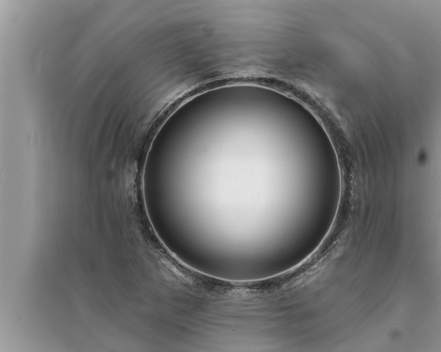 X0000095531265200712211317
