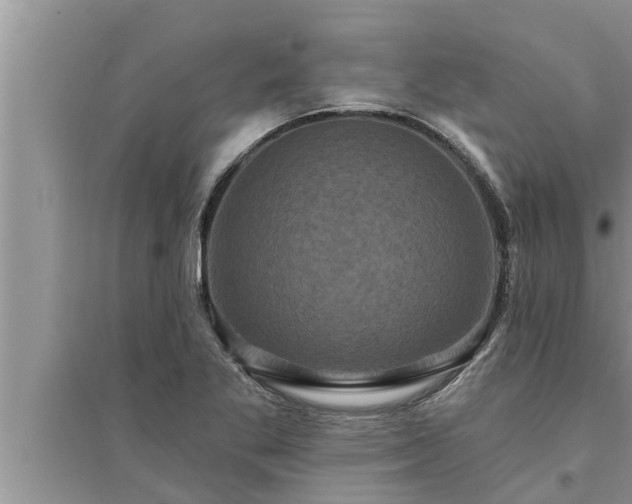 X0000095531269200712211317
