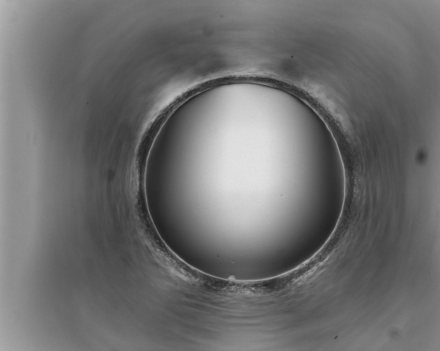 X0000095531270200712211317