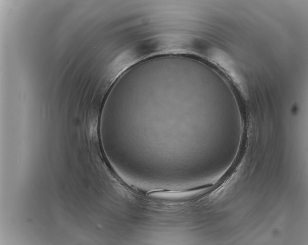 X0000095531273200712211317