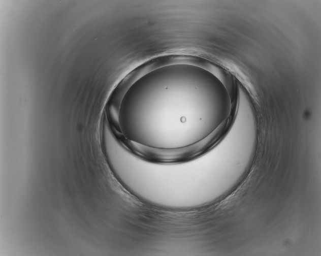 X0000095531276200712211317