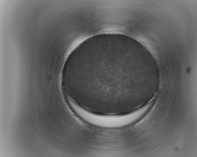 X0000095531277200712211317