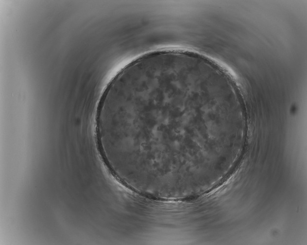 X0000095531279200712211317