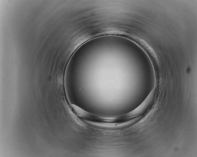 X0000095531281200712211317