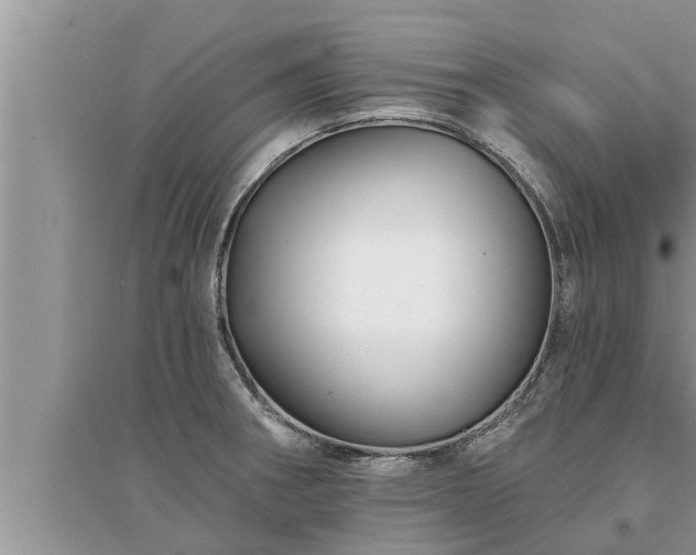 X0000095531282200712211317