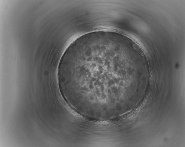 X0000095531283200712211317
