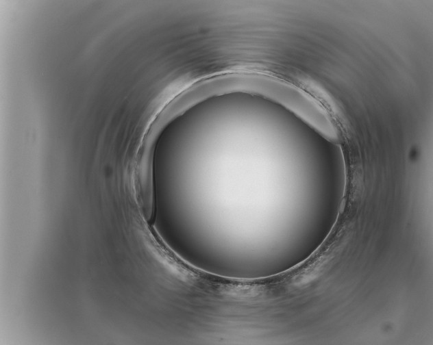 X0000095531284200712211317