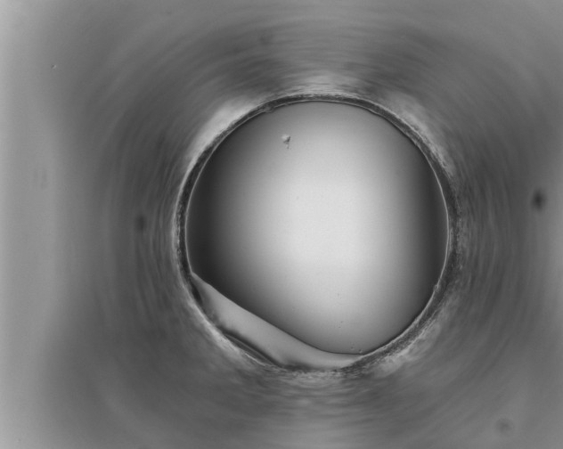 X0000095531285200712211317