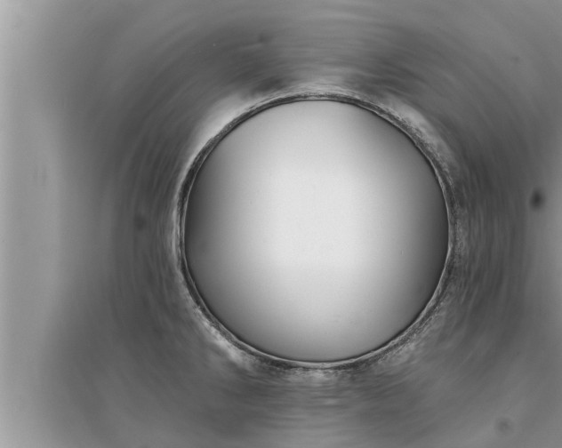 X0000095531286200712211317