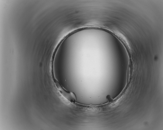 X0000095531288200712211317