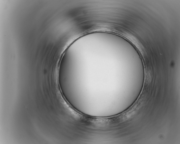 X0000095531290200712211317
