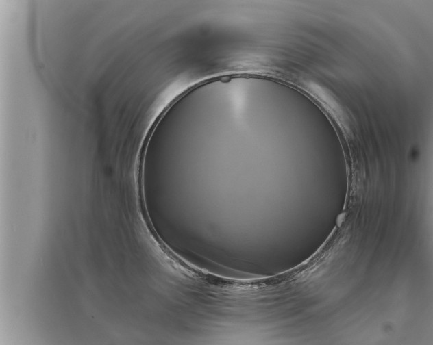 X0000095531291200712211317
