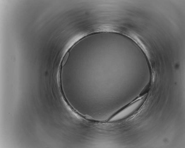 X0000095531293200712211317