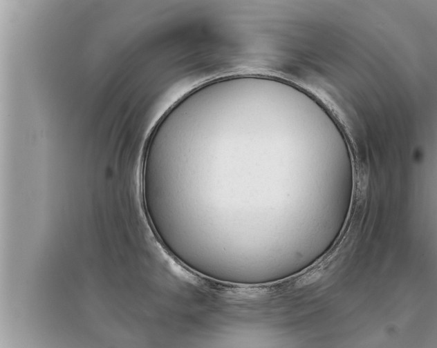 X0000095531294200712211317