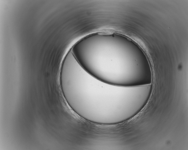 X0000095531296200712211317