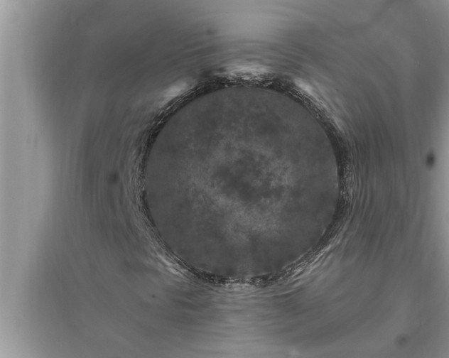 X0000095531297200712211316