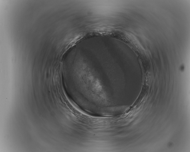 X0000095531298200712211316