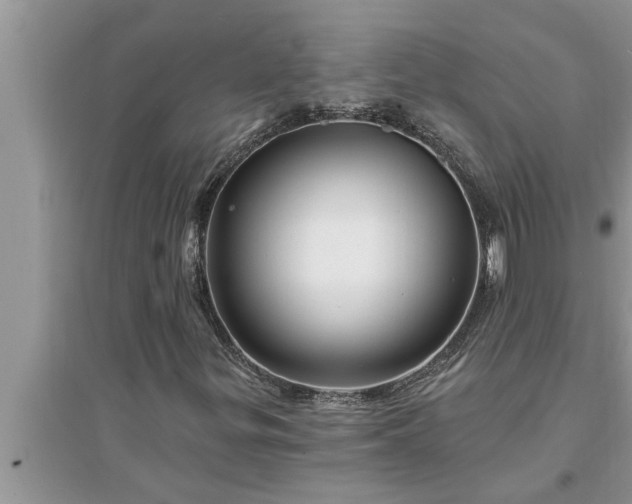 X0000095531299200712211316