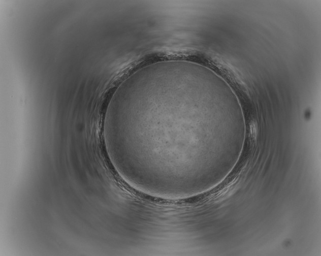 X0000095531300200712211316