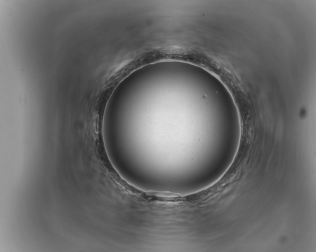 X0000095531301200712211316