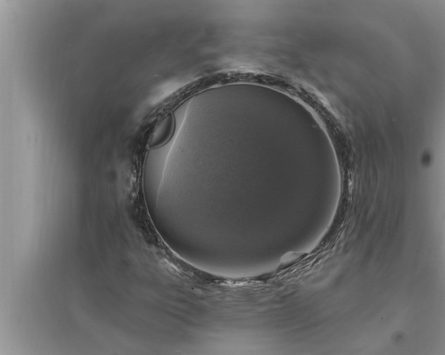 X0000095531303200712211316