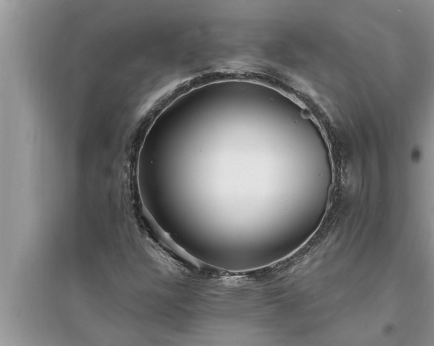 X0000095531304200712211316