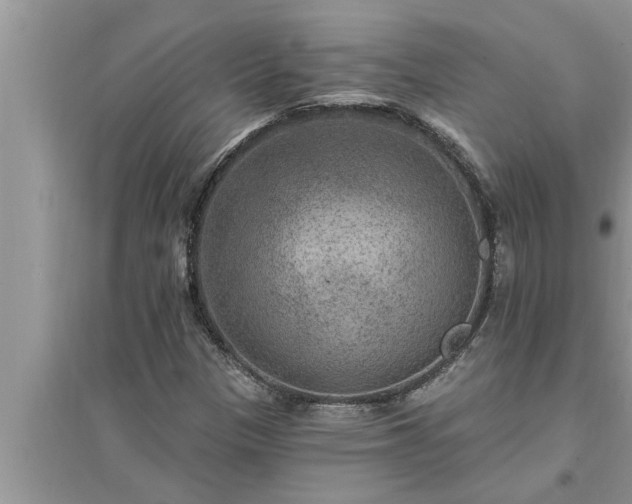 X0000095531305200712211316