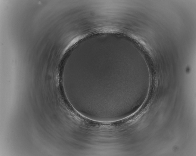 X0000095531306200712211316